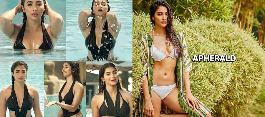 Image result for <a class='inner-topic-link' href='/search/topic?searchType=search&searchTerm=POOJA HEGDE' target='_blank' title='click here to read more about POOJA HEGDE'>pooja hegde</a> apherald