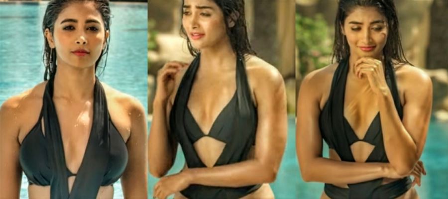 These 26 Hot Photos of Allu Arjun Girl in BIKINI Avatar is Totally Stare-Worthy and Drool-Worthy - View all Photos Inside