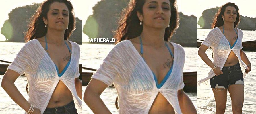 These 10 Mood-Erecting, Tempting Photos of TRISHA in Sleeveless Blouse and Transparent Black Saree will bring your Inner Temptations